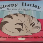 Book - Sleepy Harley