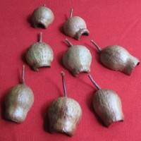 Gumnut Fridge Magnets