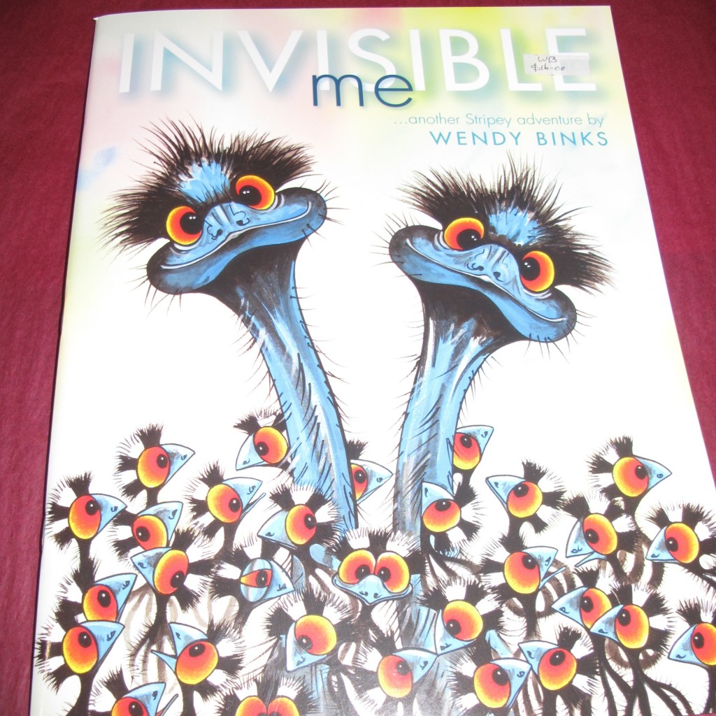 Book - Invisible Me